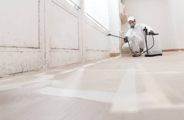 24/7 Emergency Mold Remediation experts in Quincy, IL