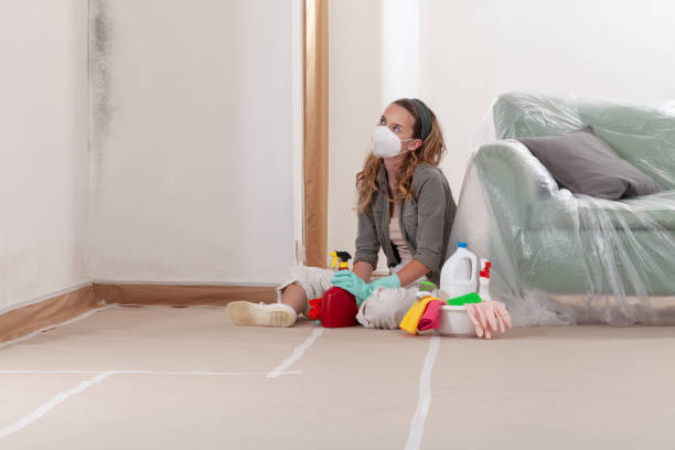 Reliable Mold Remediation contractor in Quincy, IL by WQB Mold Removal